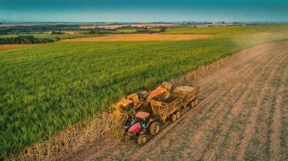 Safra de cana no Brasil pode ser menor que esperada, diz Wilmar