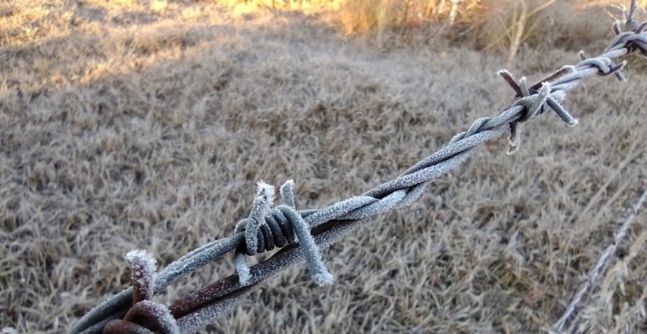 Morador registra geada em Clementina (SP) — Foto: Arquivo Pessoal