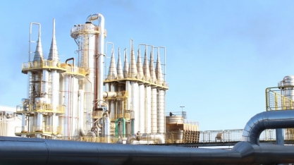 Setor sucroenergético reforça saldo industrial de emprego em MS com 1,3 mil novos postos de trabalho entre janeiro e maio