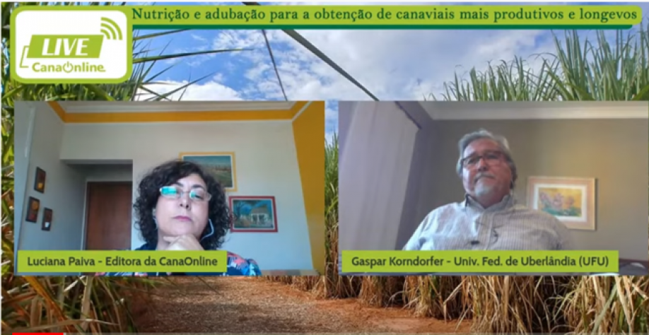 Gaspar Korndorfer – safra de dificuldades