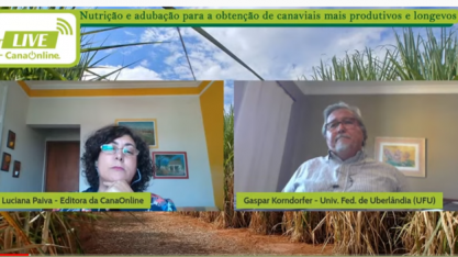 Déficit hídrico, geada e risco alto de incêndio compõem o cenário da safra 2021/22