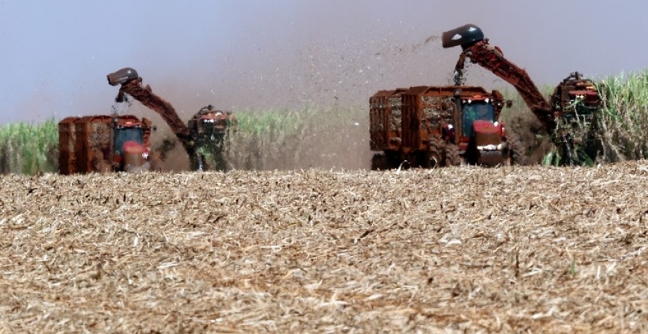 Colheita de cana-de-açúcar em Pradópolis (SP) (Foto: REUTERS/Paulo Whitaker)
