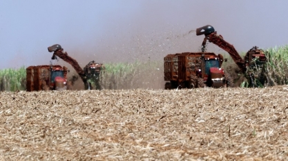 Perdas pela seca em 2021/22 serão menores do que em 2014, avalia Copersucar