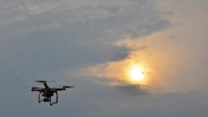 Tecnologia no canavial: benefícios do uso de drone na aplicação da cotesia