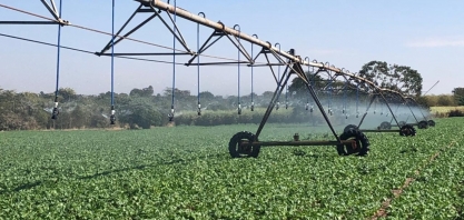 O caminho para a agricultura irrigada de alta eficiência em Mato Grosso do Sul