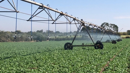 O caminho para a agricultura irrigada de alta eficiência em Mato Grosso do Sul