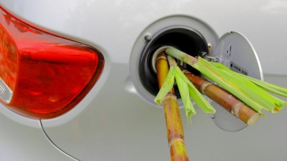 Mundo está acordando para o etanol. Entenda como isso afeta o Brasil