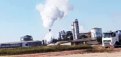 Usina Nova Canabrava paralisa moagem da produção de cana-de-açúcar