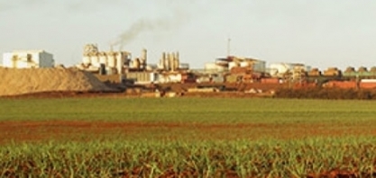 DOU: Cade aprova compra da Cevasa, da Cargill, pela usina Batatais