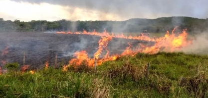 MS: Nova portaria amplia suspensão de queima controlada no Estado