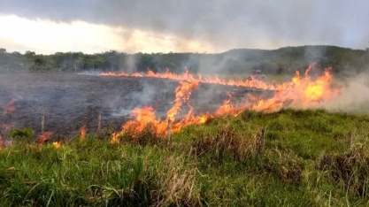 MS: Nova portaria amplia suspensão de queima controlada no Estado
