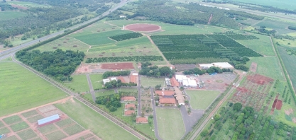 IHARA propõe jornada de soluções inovadoras ao agricultor durante a Coopercitrus Expo Digital