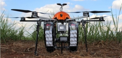 Usina de Mato Grosso do Sul reduz infestação de broca e custos ao utilizar drones para liberação de Cotesia