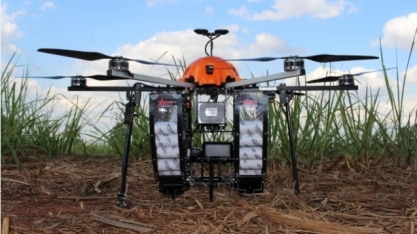 Usina de Mato Grosso do Sul reduz infestação de broca e custos ao utilizar drones para liberação de Cotesia