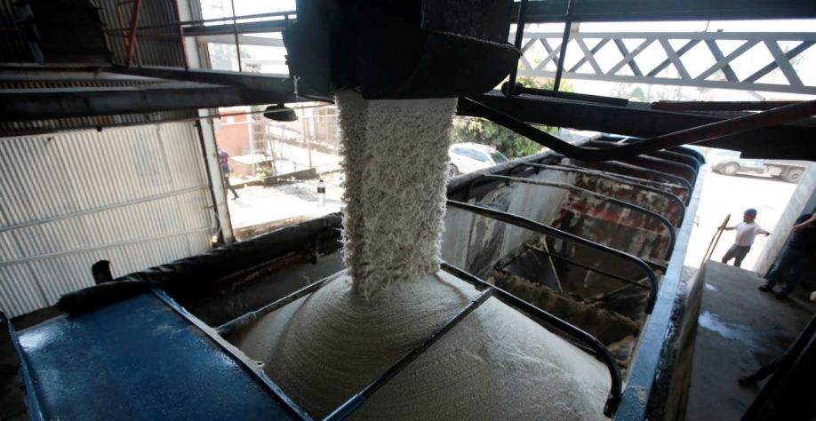 A fabricação de açúcar no Brasil, maior produtor e exportador global da commodity, deve recuar devido aos efeitos da seca e de geadas, que danificaram a safra de cana do país (Imagem: REUTERS/Juan Carlos Ulate)