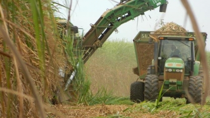Valor da produção deve chegar a R$ 1,099 trilhão, 10% acima do obtido em 2020