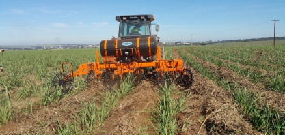 Implementos eficientes otimizam aplicação de inseticidas em soqueiras