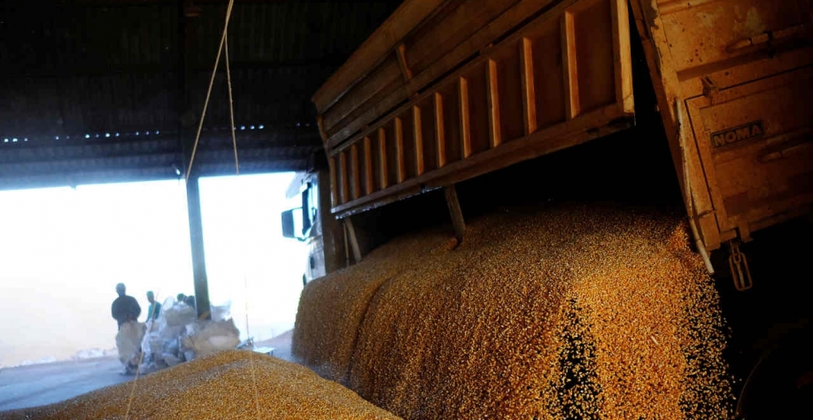 Os resultados da Bunge oferecem uma noção de como as grandes tradings globais de grãos estão emergindo da pandemia de Covid-19 (Imagem: Reuters/Nacho Doce)