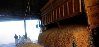 Bunge eleva estimativa de lucro no ano completo após salto no resultado trimestral