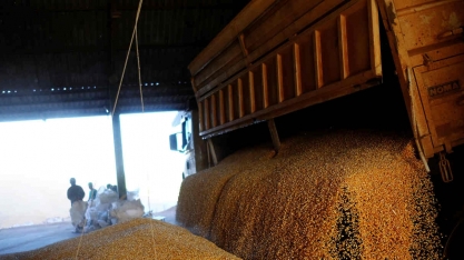 Bunge eleva estimativa de lucro no ano completo após salto no resultado trimestral