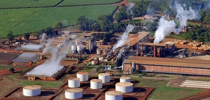 Jalles Machado investirá R$ 517 milhões para expandir moagem de cana