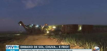 Veja como é a rotina de trabalhadores de usinas no frio