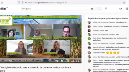Uma aula sobre o manejo nutricional correto para cana-de-açúcar