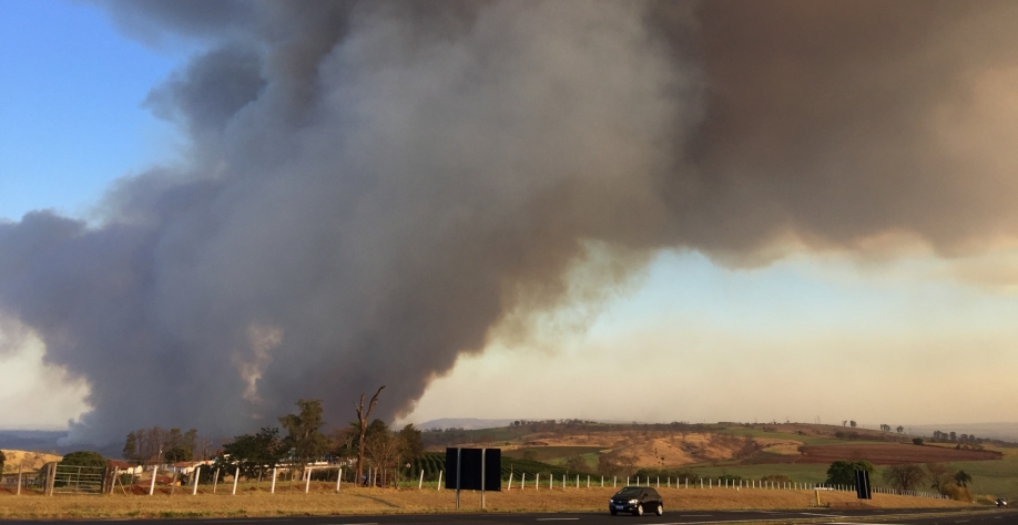 Embora o clima seco tenha papel fundamental para o início e alastramento do fogo, 90% dos incêndios florestais são causados pelo ser humano, com inícios próximos a áreas urbanas, como margens de rodovias e locais de pesca. Foto: Banco de imagens CanaOnlin