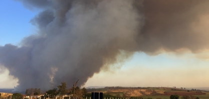 Bitucas de cigarros e atos criminosos são os maiores responsáveis pelos incêndios em áreas de cana-de-açúcar