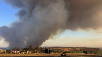 Bitucas de cigarros e atos criminosos são os maiores responsáveis pelos incêndios em áreas de cana-de-açúcar