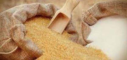 Açúcar/Cepea: Indicador volta a operar na casa dos R$ 116/sc