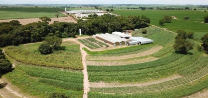 Viveiro de MPB´s, localizado em Batatais-SP, é o primeiro certificado do mundo