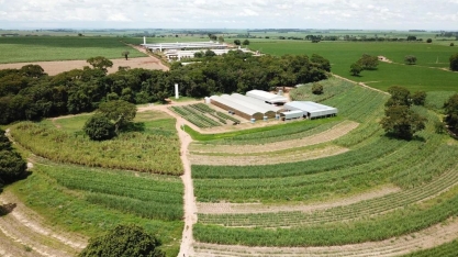 Viveiro de MPB´s, localizado em Batatais-SP, é o primeiro certificado do mundo