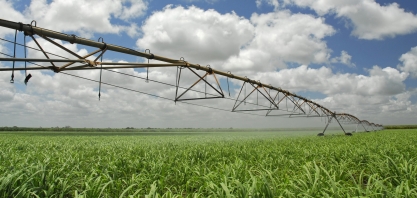 Usina Caeté irriga 60% de seus canaviais e longevidade média salta para 11 cortes