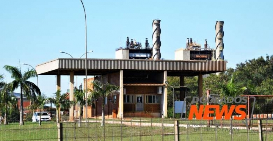 Massa falida da Usina São Fernando foi autorizada a vender 120 mil toneladas de cana-de-açúcar - Crédito: Hedio Fazan/ Dourados News / Arquivo
