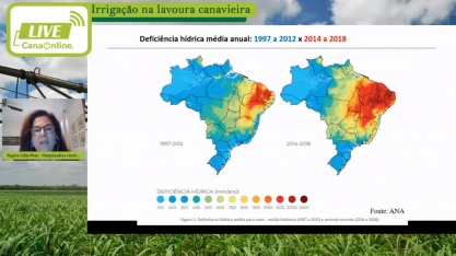 Deficiência hídrica para cana-de-açúcar é agravada nos últimos sete anos
