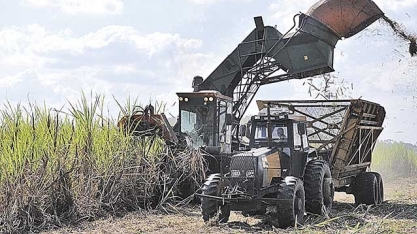 Seca e geadas prejudicam a colheita de cana em Minas