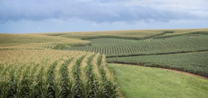 Mais de 50 Consultores do Agro em todo o país participam de Desafio e atestam como é essencial a adoção da adubação biológica