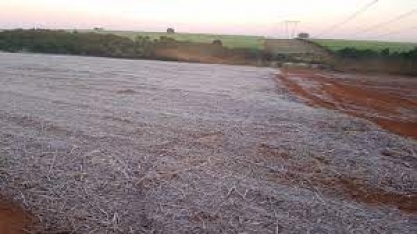  Análise da equipe agro do Itaú BBA sobre o impacto das geadas