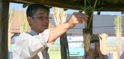 Sistema de Mudas Pré-Brotadas (MPB-IAC) terá certificação e novo nível de qualificação 