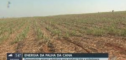 Pesquisadores da Embrapa Instrumentação produzem etanol a partir da palha da cana