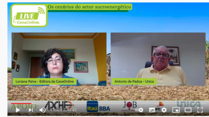 Safra canavieira 21/22 é cara
