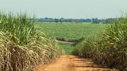 IPEA: PIB da agropecuária em 2021 é revisado de 2,6% para 1,7%