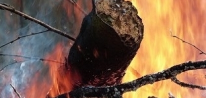 Alerta: próximas semanas são de possíveis incêndios