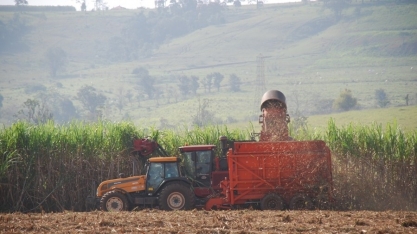 Previsão de safra: Estado de SP deve aumentar em 2,06% produção de culturas anuais
