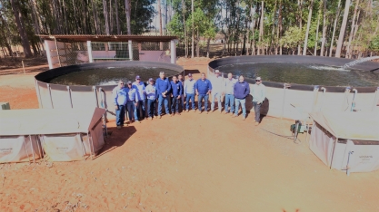 Com aumento expressivo na produtividade, Energética Serranópolis amplia área de aplicação de adubação biológica