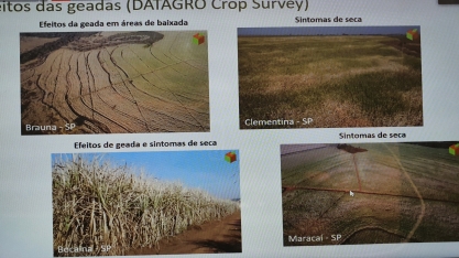 Safra canavieira do Centro-Sul deve terminar cerca de 1 mês e meio antes