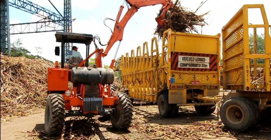 A safra 21/22 contará com 15 usinas em funcionamento e deverá moer 18,8 milhões de toneladas de cana. - Foto: Reprodução