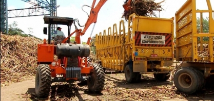Safra 21/22 começará na próxima semana no estado de Alagoas