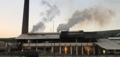 Com agosto chuvoso, Coaf começará moagem com expectativas melhores